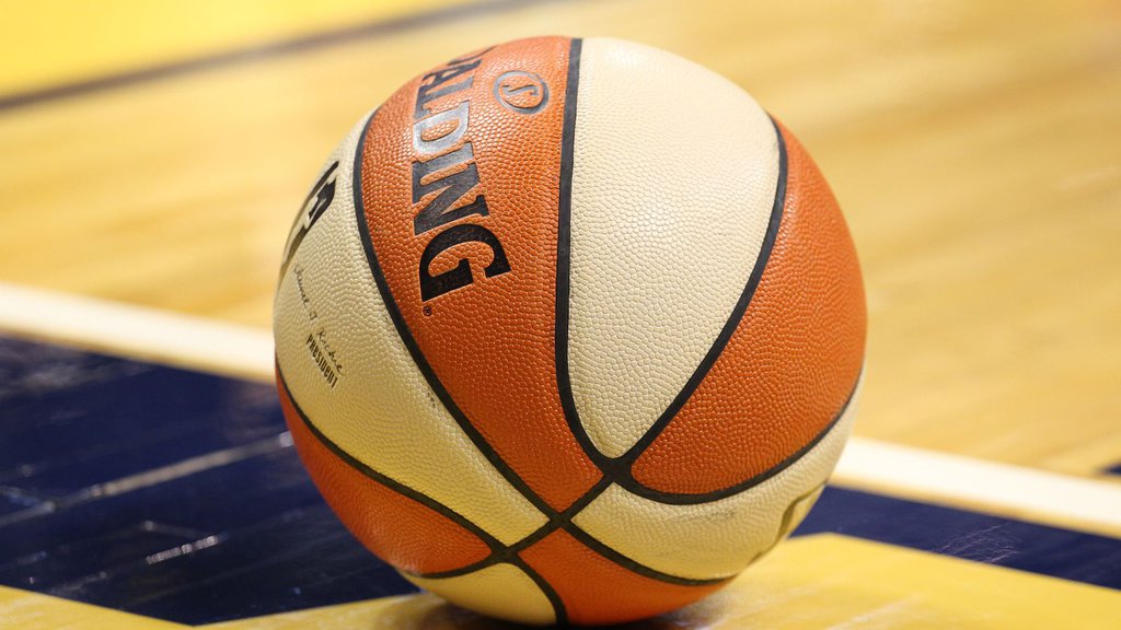 WNBA Ball